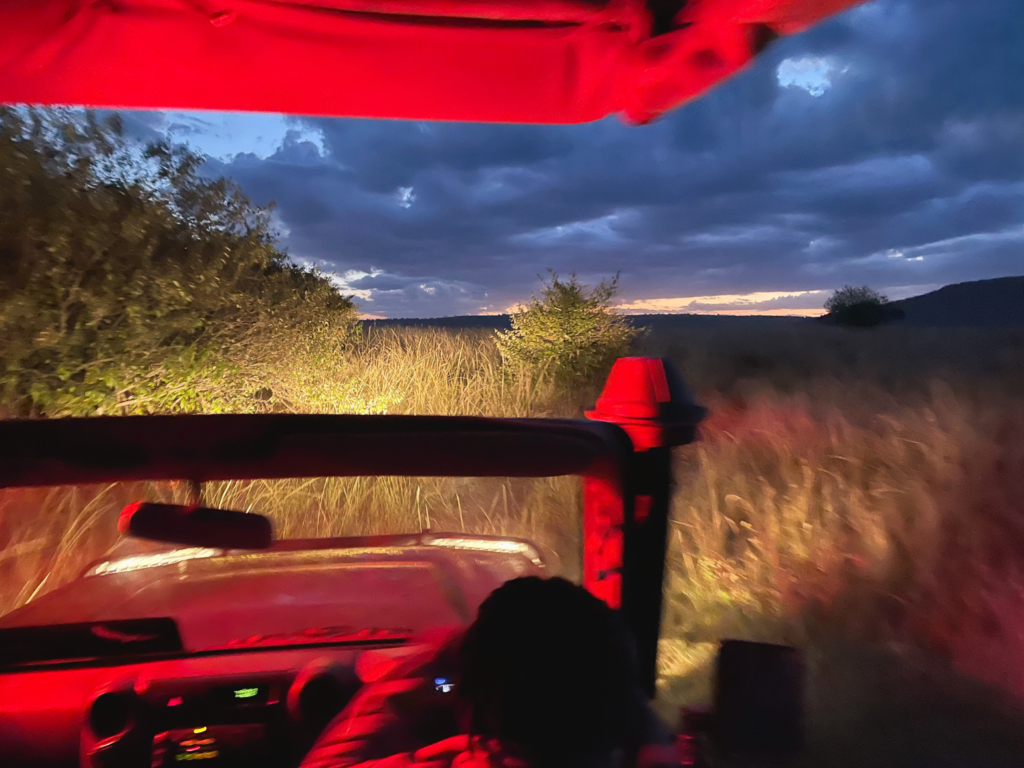 female safari guide driving a night game drive