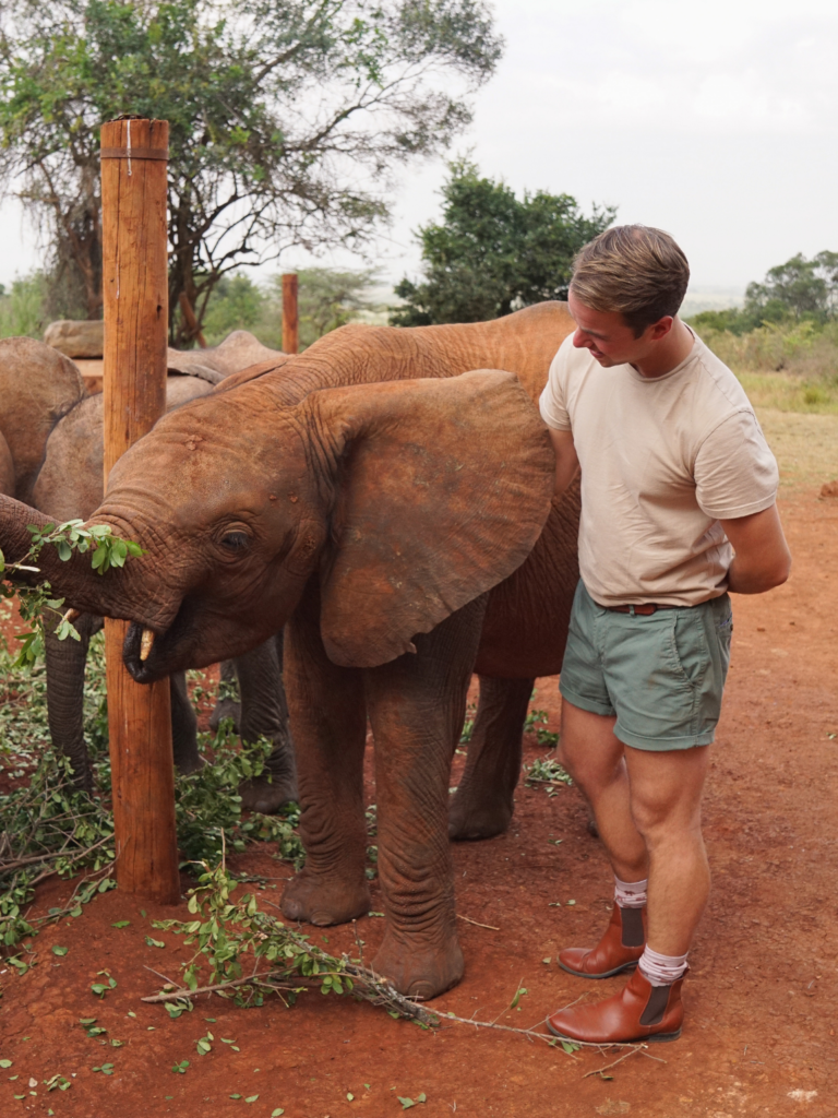 man standing next to an african elephant calf at Sheldrick Wildlife Trust