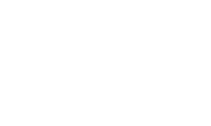 Terra Incognita Logo