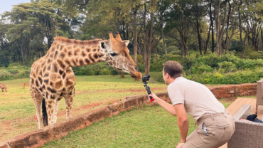 young man filming a giraffe at Giraffe Manor